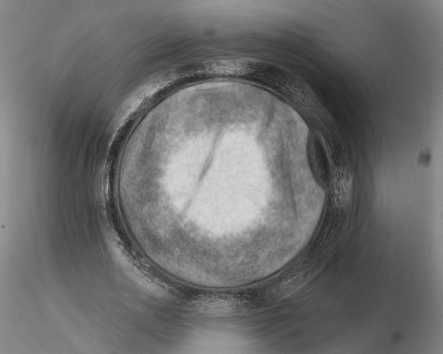 X0000115730726200912101451