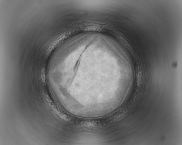X0000115730729200912101451