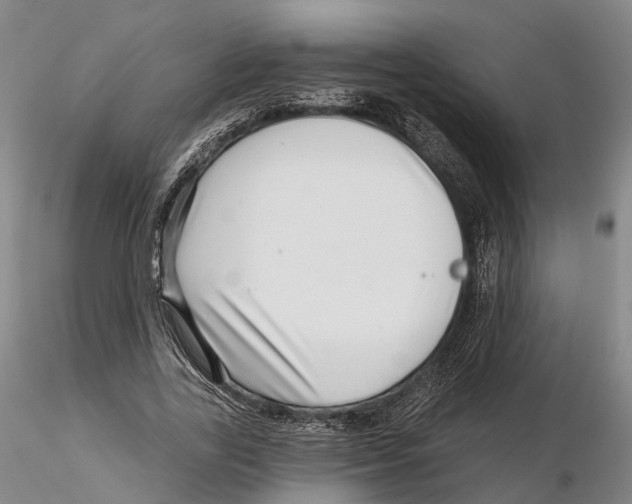 X0000115730731200912101451