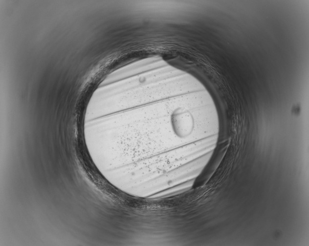 X0000115730734200912101451