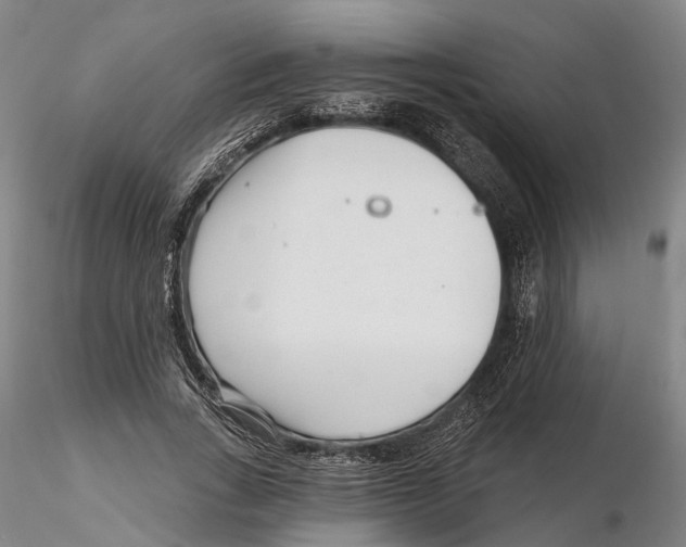 X0000115730735200912101452