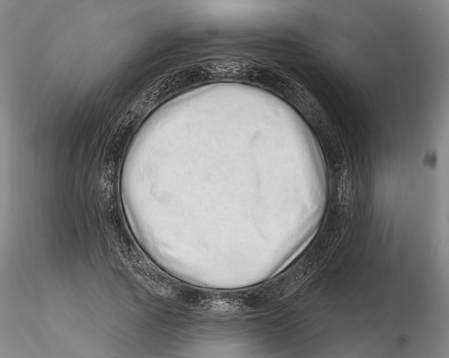 X0000115730737200912101452