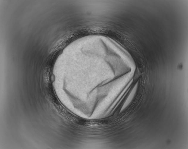 X0000115730746200912101452