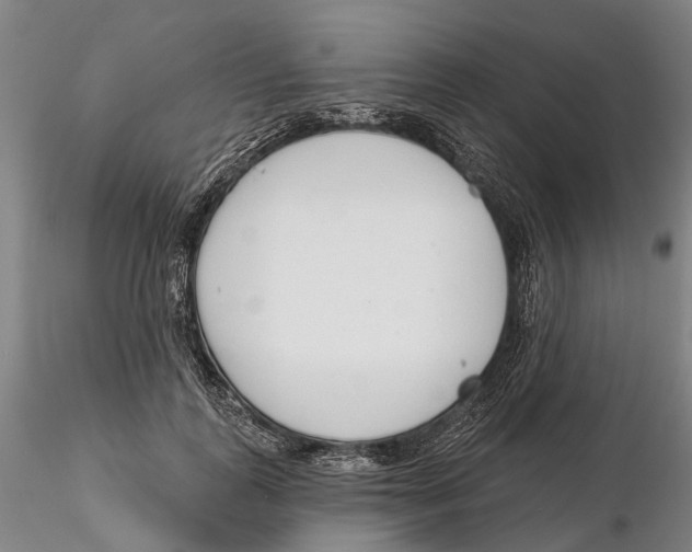 X0000115730747200912101452