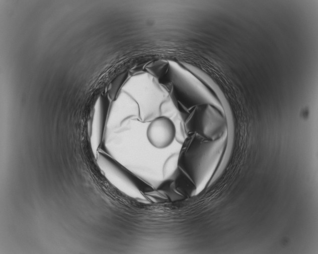 X0000115730750200912101452