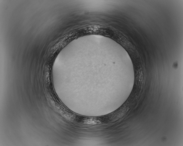 X0000115730754200912101452
