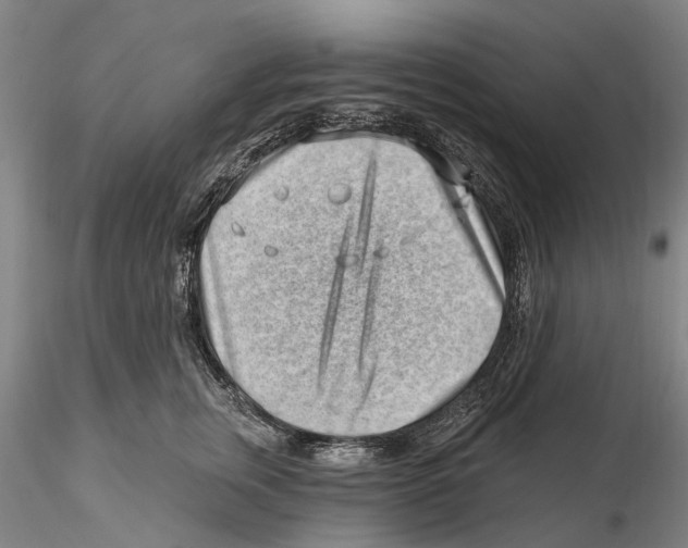 X0000115730759200912101452