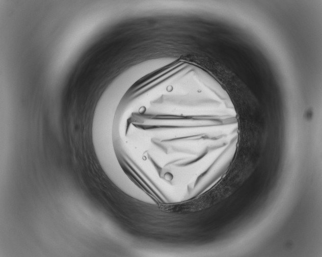 X0000115730766200912101452