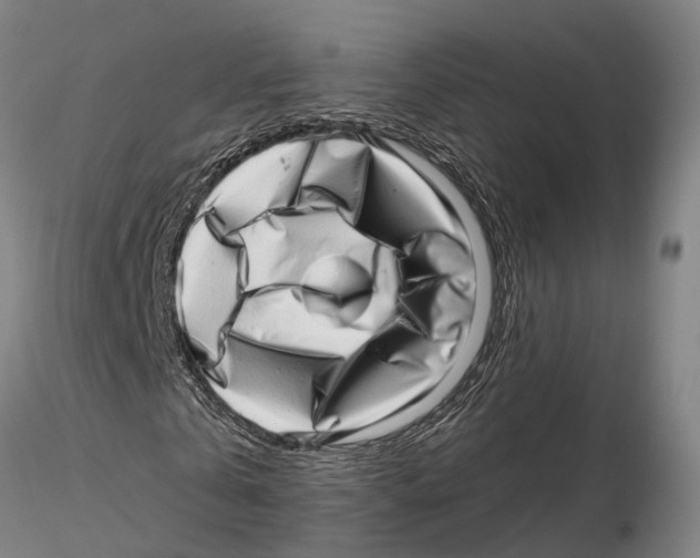 X0000115730769200912101451
