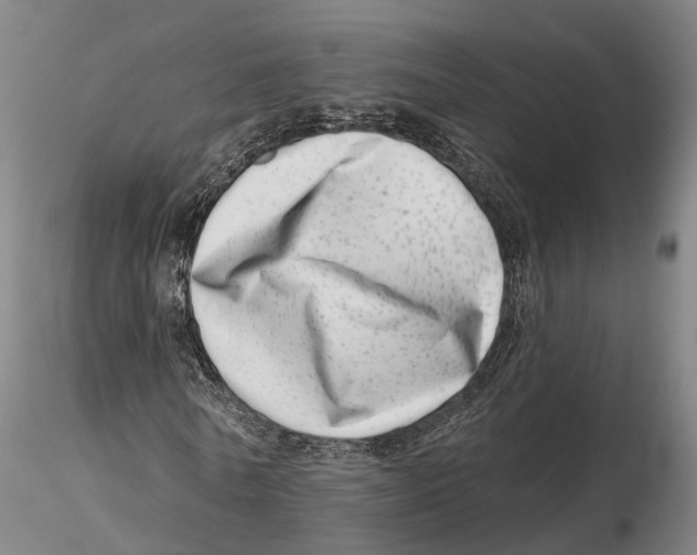 X0000115730770200912101451