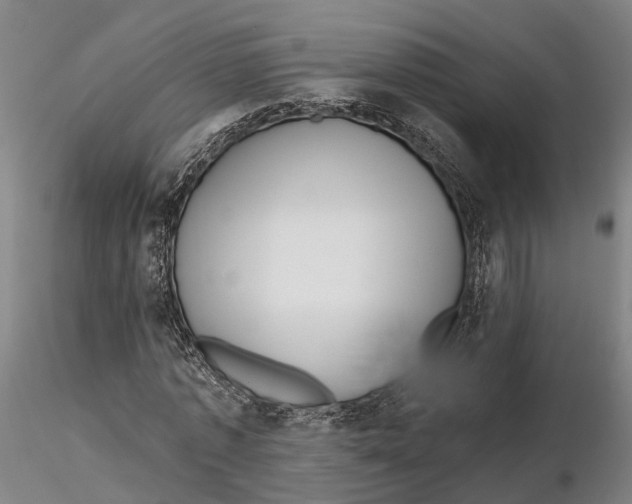 X0000115730773200912101451