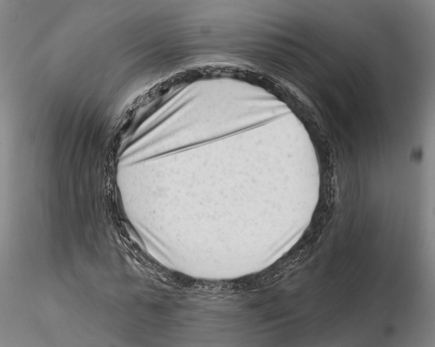 X0000115730775200912101451
