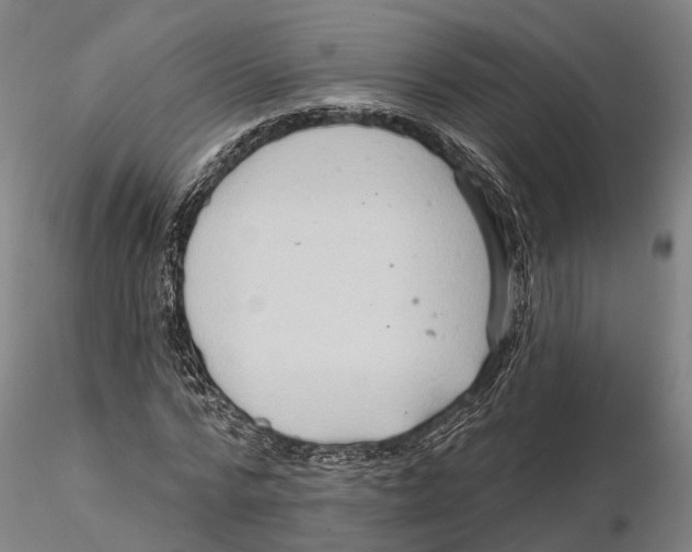 X0000115730776200912101451