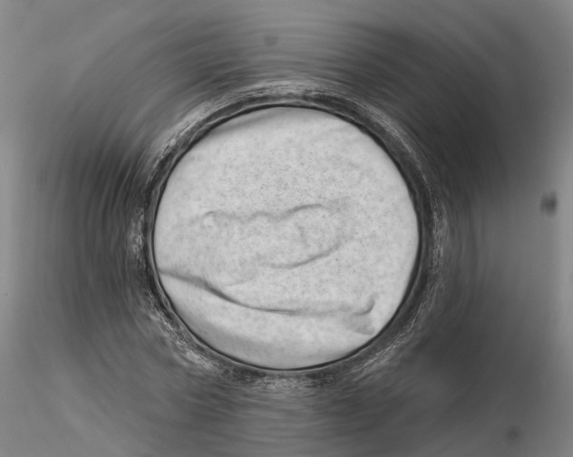X0000115730778200912101451
