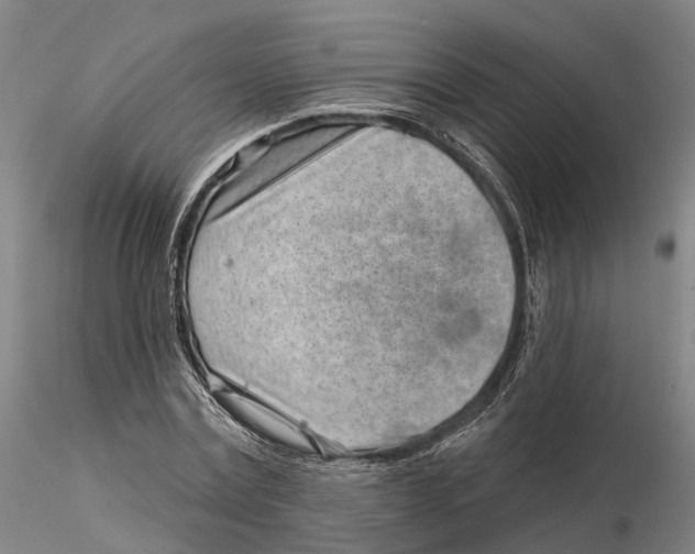X0000115730779200912101451