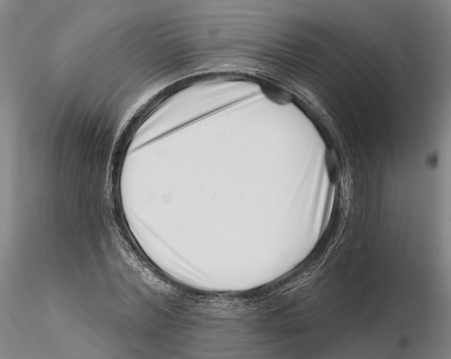 X0000115730780200912101451