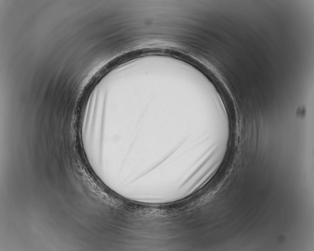 X0000115730783200912101451