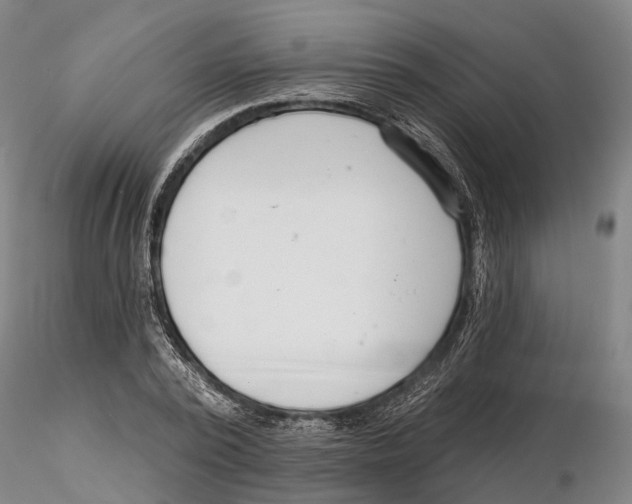 X0000115730784200912101451