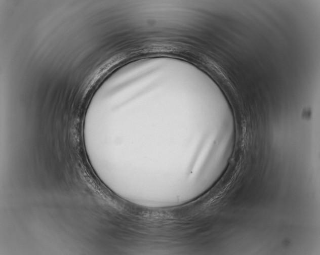 X0000115730786200912101451