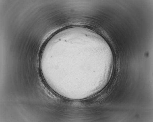 X0000115730787200912101451