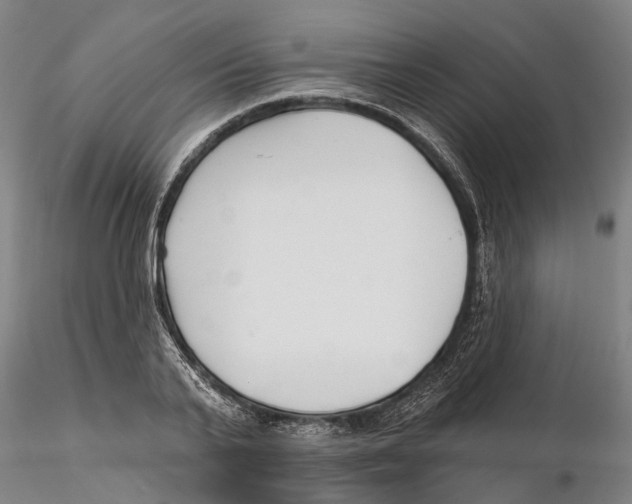 X0000115730791200912101451