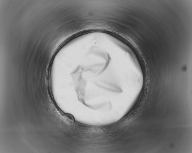 X0000115730799200912101451