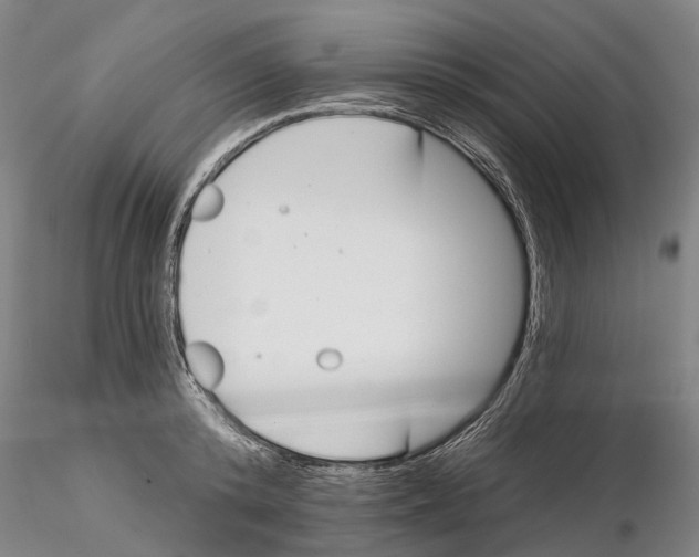 X0000115730800200912101451