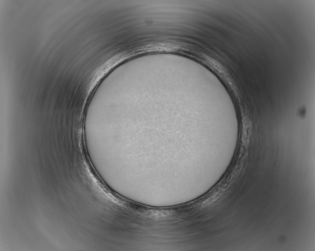 X0000115730802200912101451