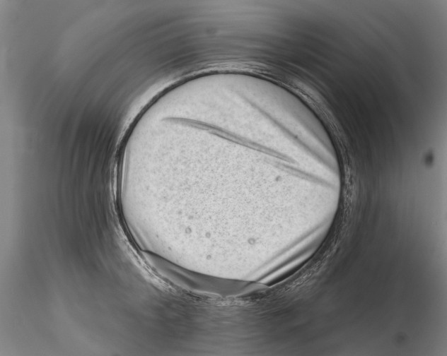 X0000115730804200912101450