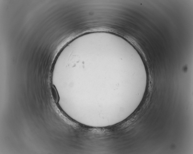 X0000115730805200912101450