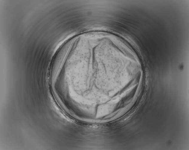 X0000115730806200912101450
