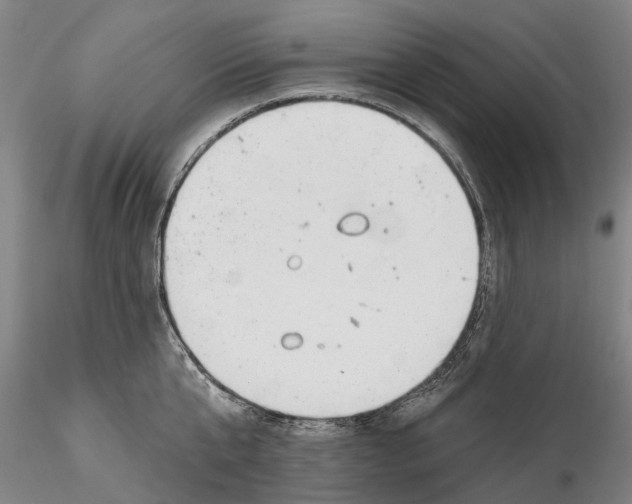 X0000115730807200912101450