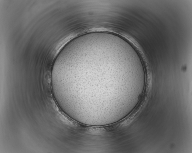 X0000115730809200912101450