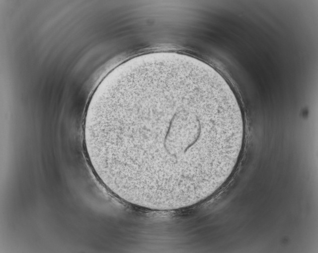 X0000115730810200912101450