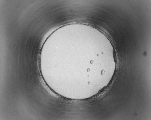 X0000115730812200912101450