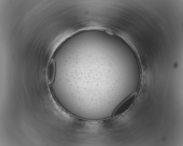 X0000115730813200912101450