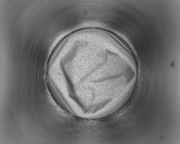 X0000115730815200912101450