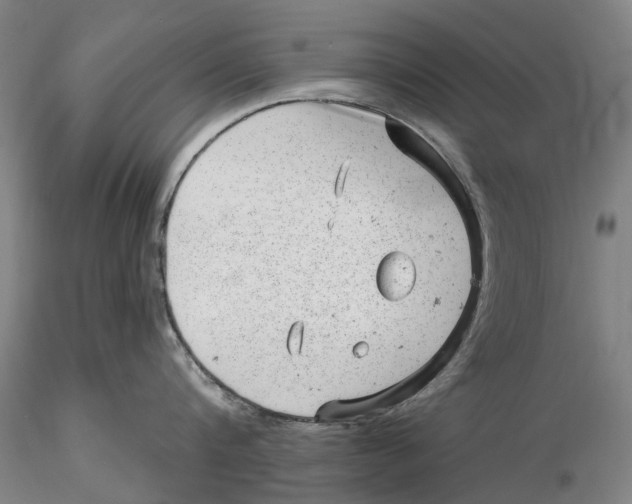X0000115730816200912101450