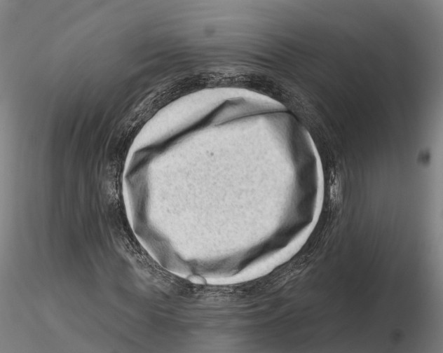 X0000115730819200912101450