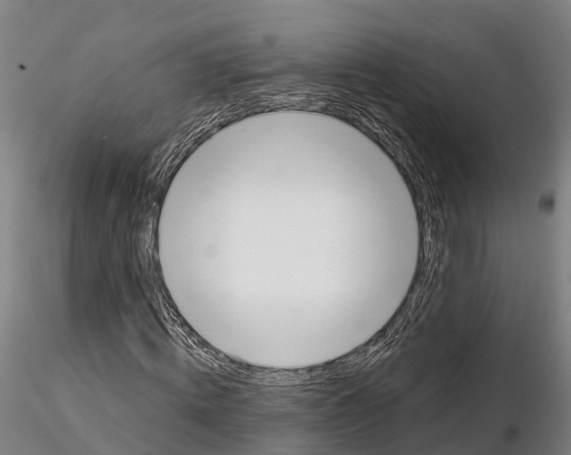 X0000115730820200912101450