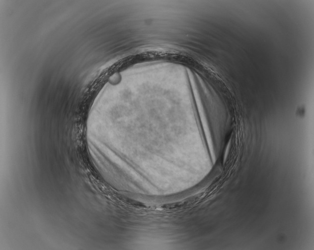 X0000115730822200912101450