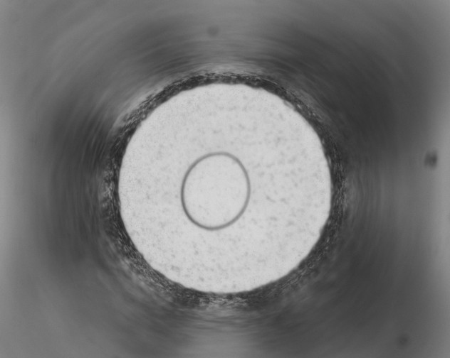 X0000115730824200912101450