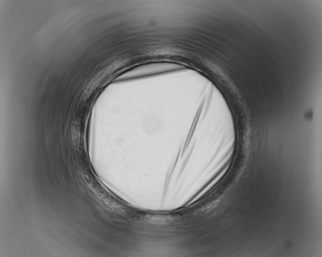X0000115730825200912101450