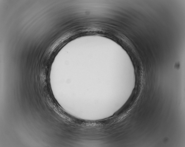 X0000115730826200912101450