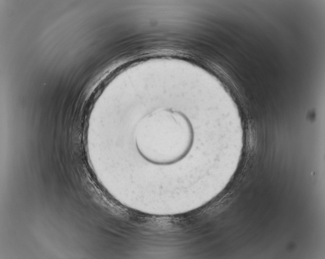 X0000115730828200912101450