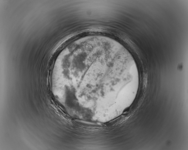 X0000115730829200912101450