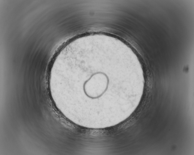 X0000115730832200912101450