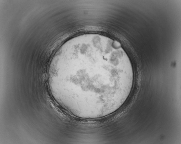 X0000115730833200912101450