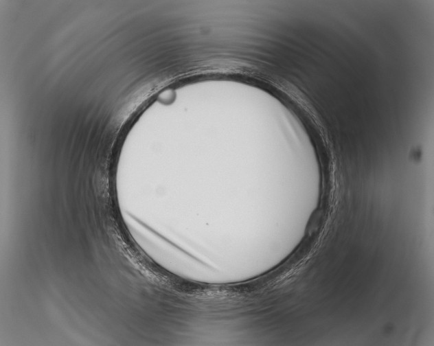 X0000115730834200912101450