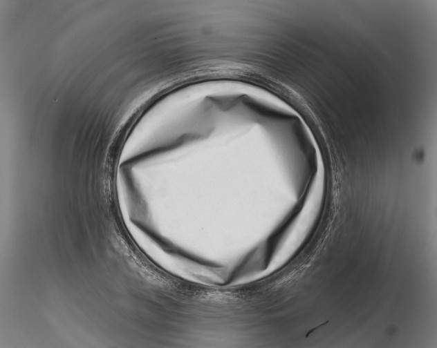 X0000115730835200912101450